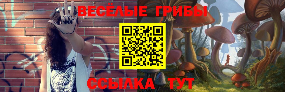 Казань  купить   Вход с VPN  Галлюциногенные грибы Magic Shrooms 