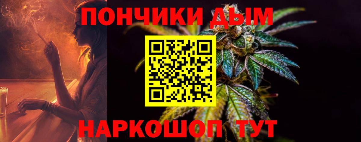 Казань  Марихуана план  Вход с VPN  Бошки Шишки SATIVA & INDICA 